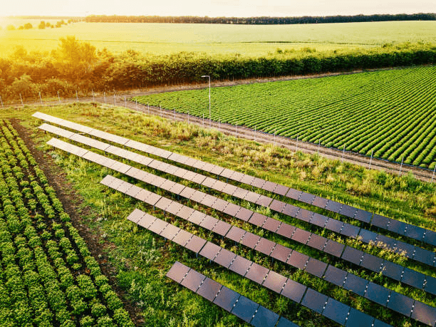 Solar Panels On Agricultural Land